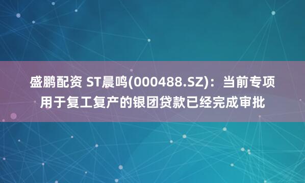 盛鹏配资 ST晨鸣(000488.SZ)：当前专项用于复工复产的银团贷款已经完成审批
