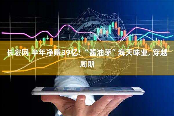 长宏网 半年净赚39亿! “酱油茅”海天味业, 穿越周期