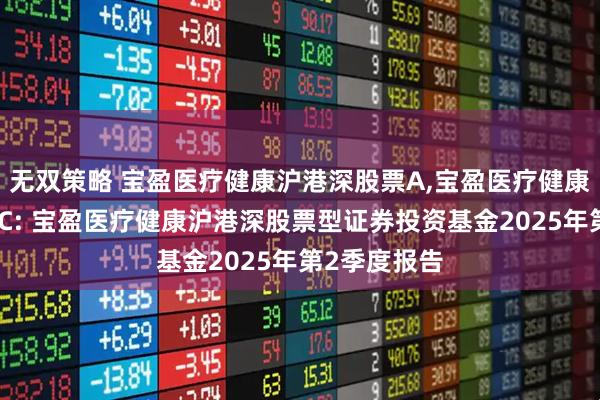 无双策略 宝盈医疗健康沪港深股票A,宝盈医疗健康沪港深股票C: 宝盈医疗健康沪港深股票型证券投资基金2025年第2季度报告