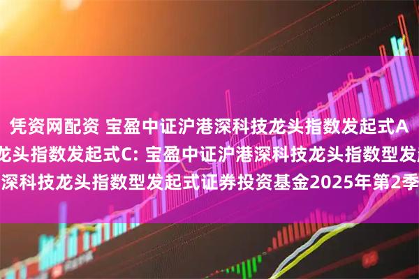 凭资网配资 宝盈中证沪港深科技龙头指数发起式A,宝盈中证沪港深科技龙头指数发起式C: 宝盈中证沪港深科技龙头指数型发起式证券投资基金2025年第2季度报告